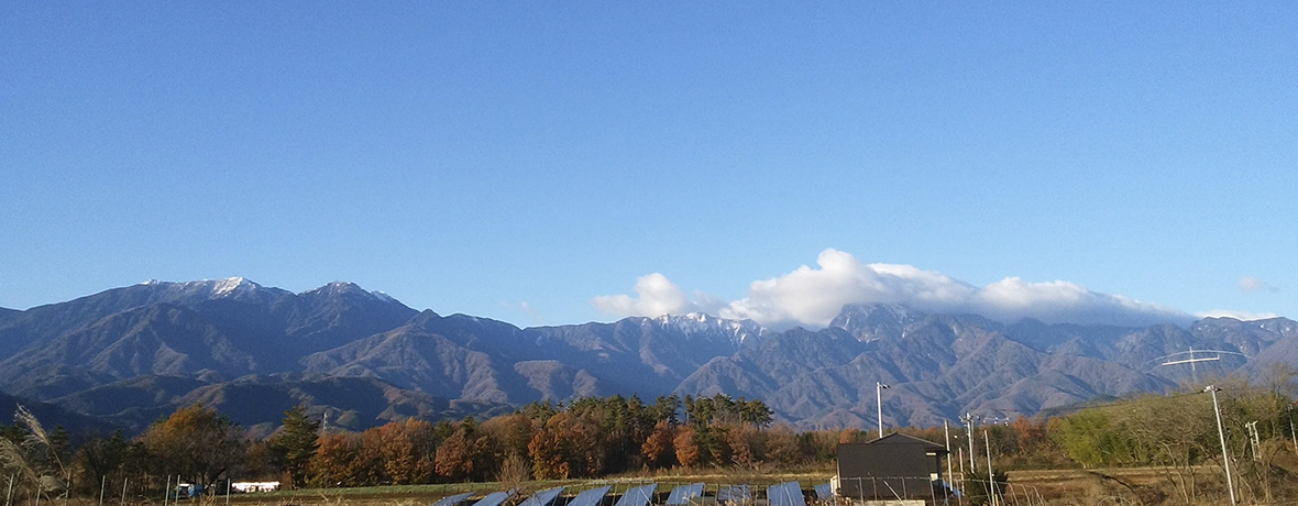 最大76％オフ ふるさと納税 北杜市   今が旬 甲斐駒ケ岳の清流に育まれたこく味溢れる完熟ブルーベリー 250g×2パック