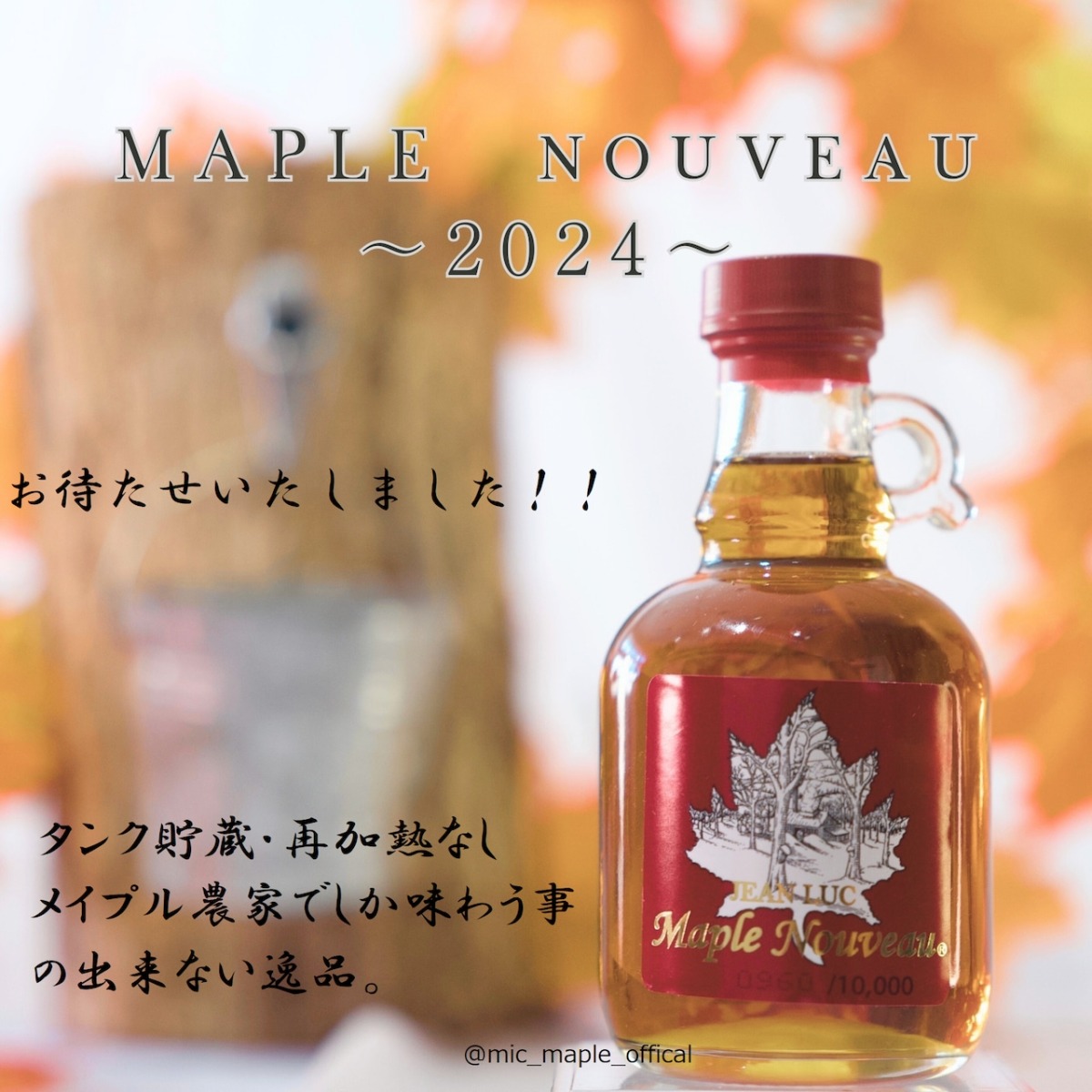 ミックメイプルヌーヴォー2024＜250ml＞